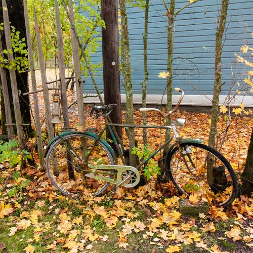 Photo #11324063