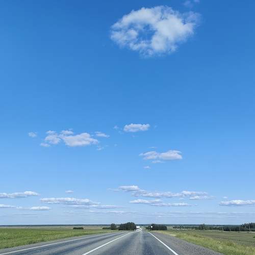 Photo #11324555