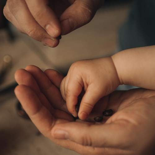 Photo #11324574