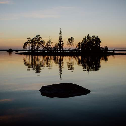 Photo #11324740