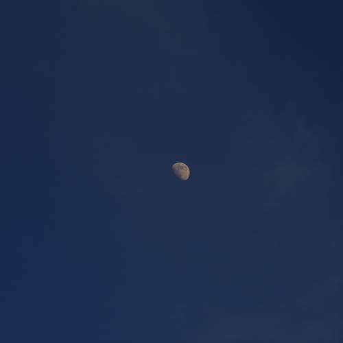 Photo #11324742