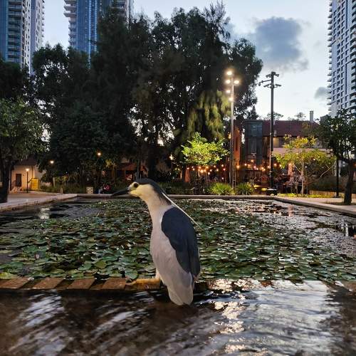 Photo #11324748