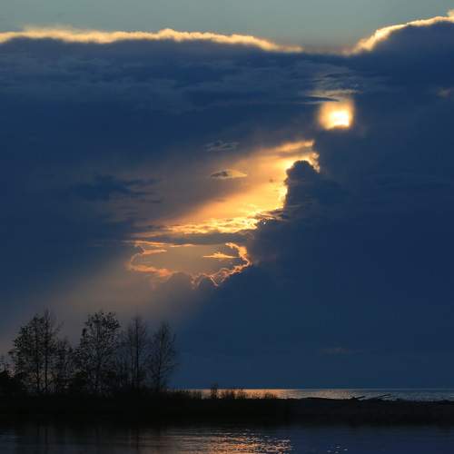 Photo #11324751
