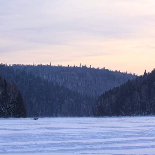 Photo #11325281