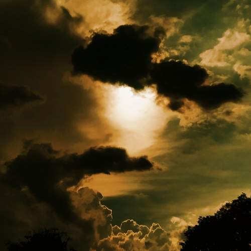 Photo #11325686