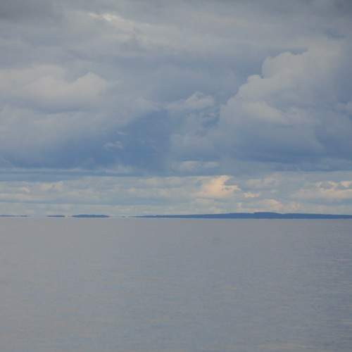 Photo #11325881