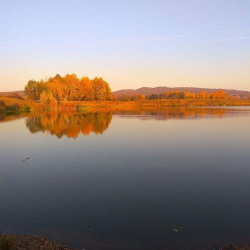 Photo #11325955