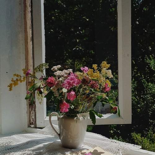 Photo #11326139