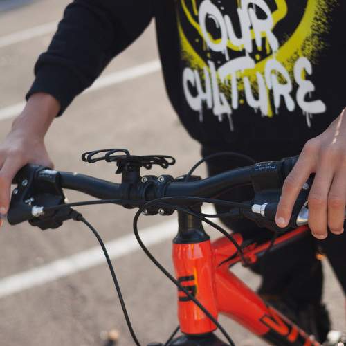 Photo #11326170