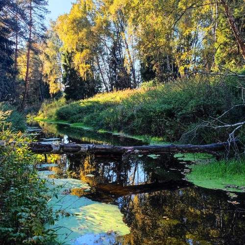 Photo #11326316