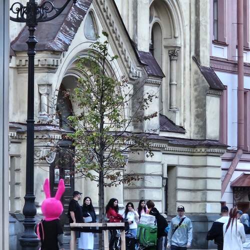 Photo #11326468