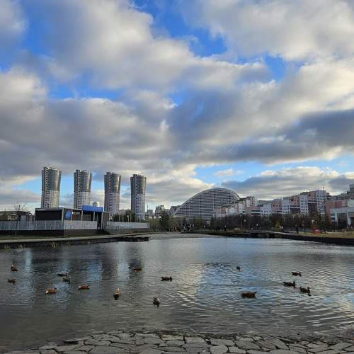 Photo #11326520
