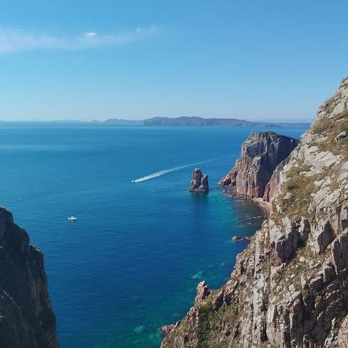 Photo #11326561