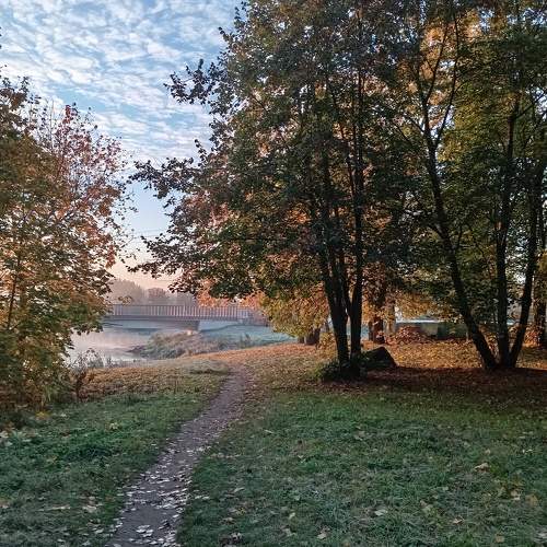 Photo #11327014