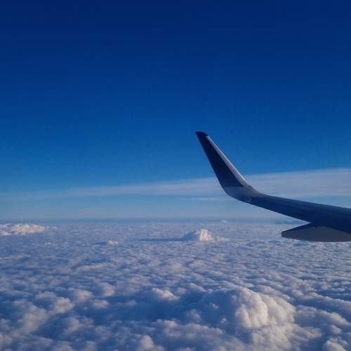 Photo #11327284