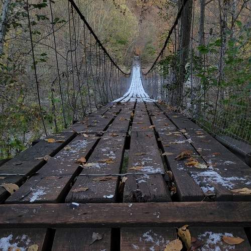 Photo #11327288