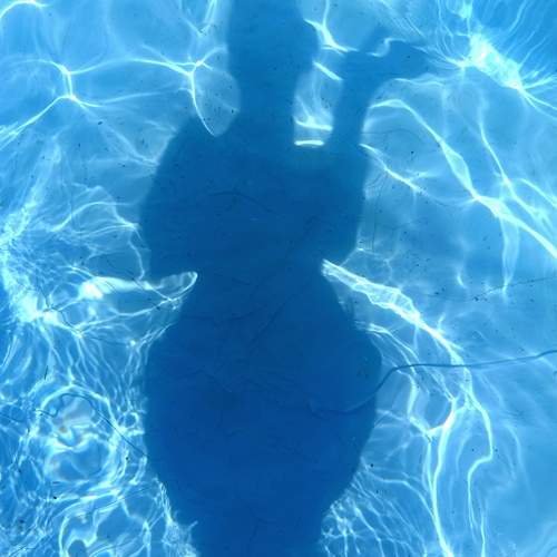Photo #11327565