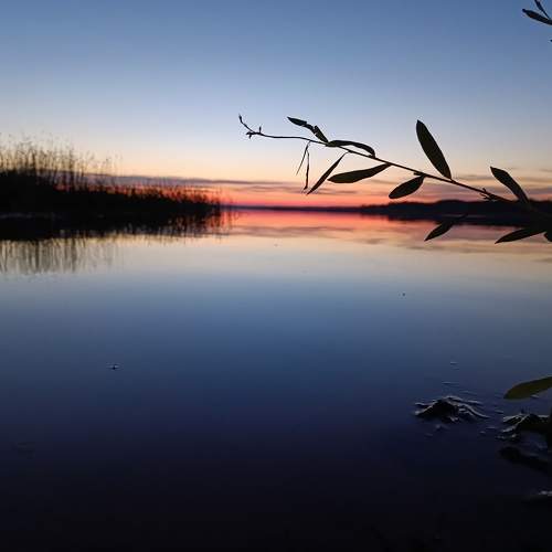 Photo #11327576