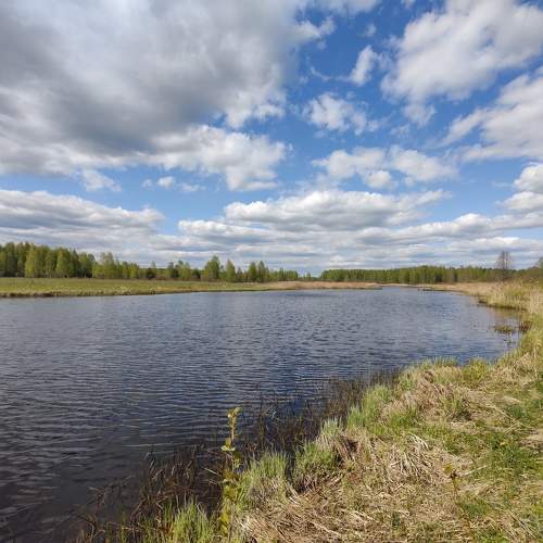 Photo #11327763