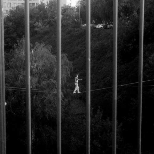 Photo #11327862