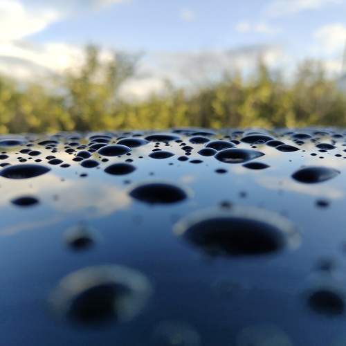 Photo #11328114