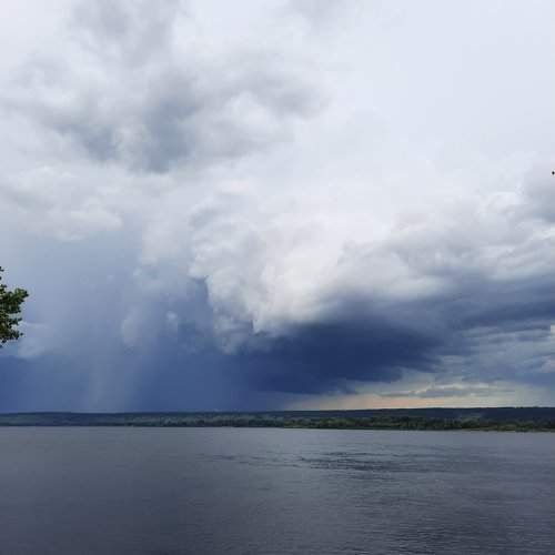 Photo #11328122