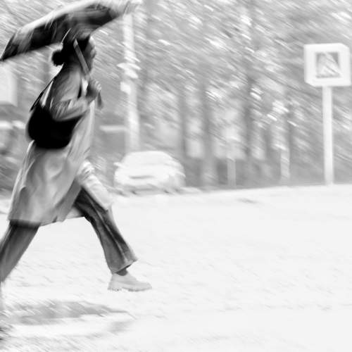 Photo #11328670