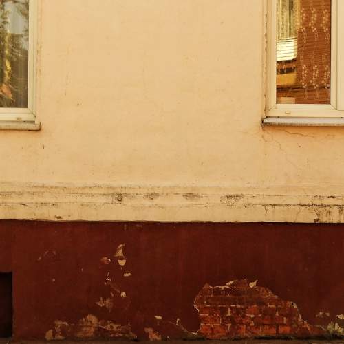 Photo #11328764