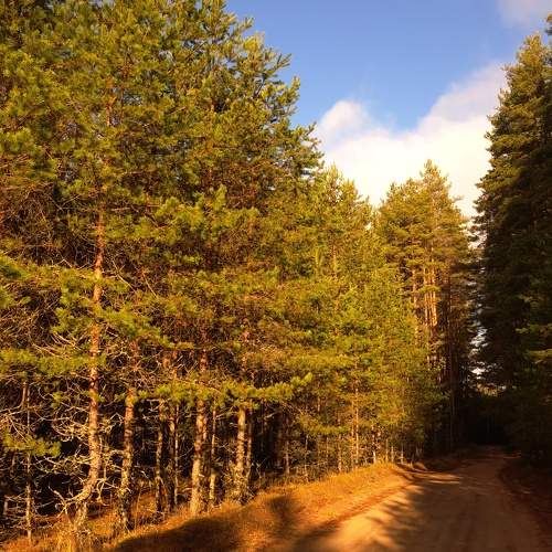 Photo #11328862