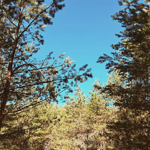 Photo #11328917