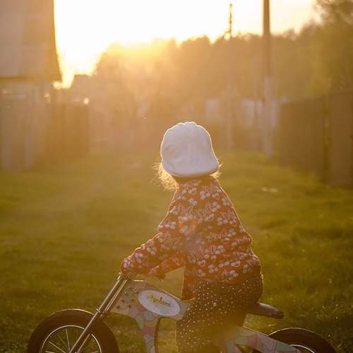 Photo #11329073