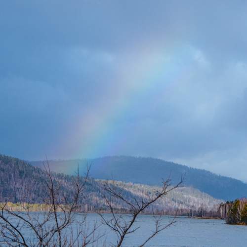 Photo #11329186