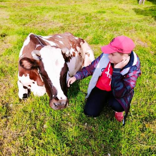 Photo #11329379