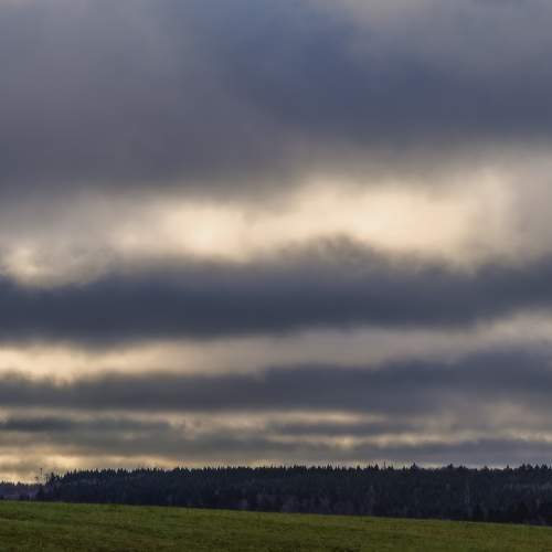 Photo #11329380