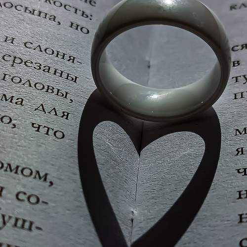 Photo #11329460
