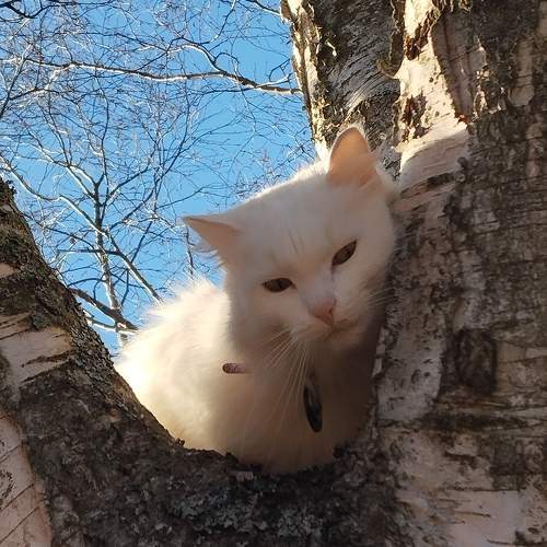 Photo #11329509