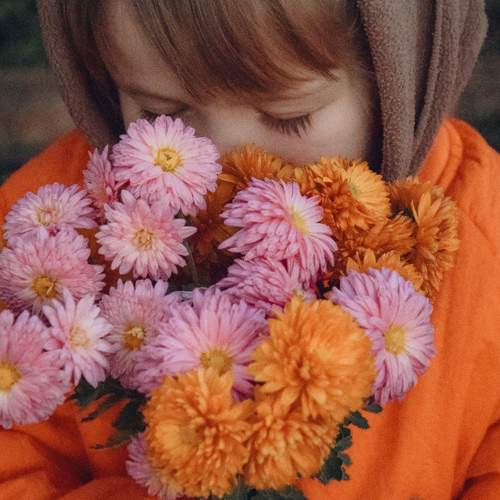 Photo #11329590