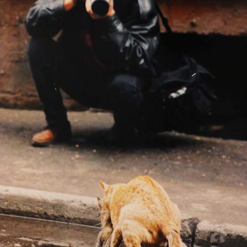 Photo #11329699