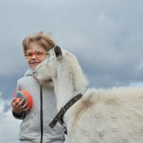 Photo #11330010