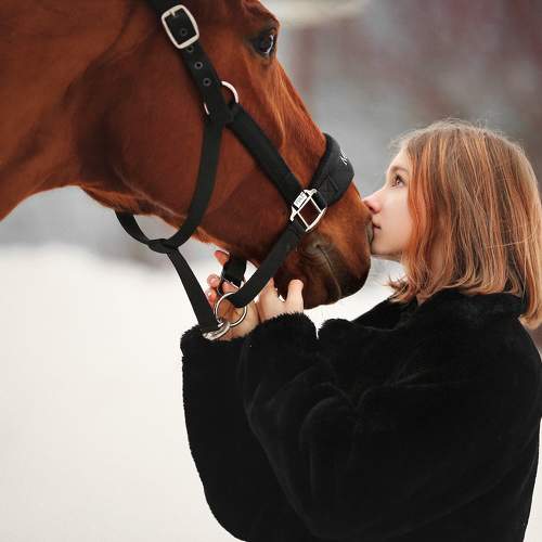 Фотография #11330196