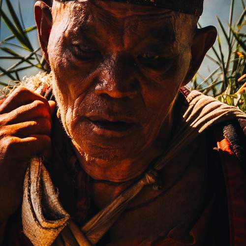 Photo #11330409