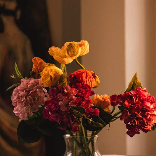 Photo #11330513