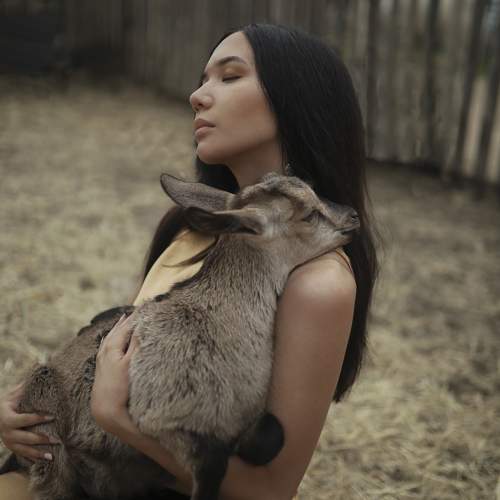 Photo #11330595