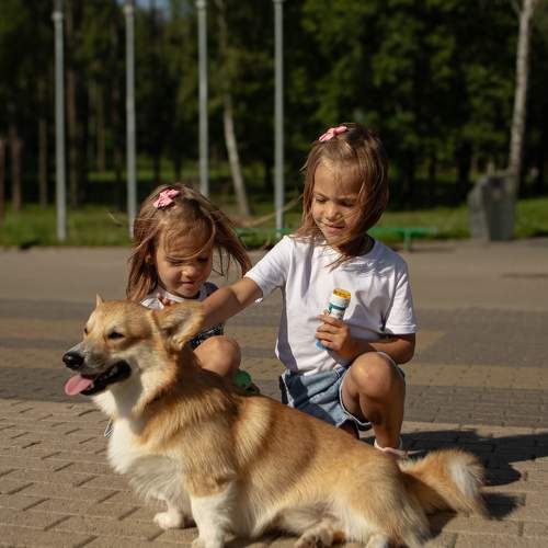 Photo #11330853