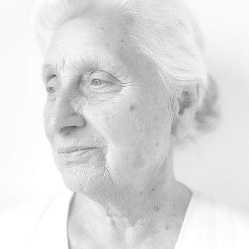 Photo #11330858