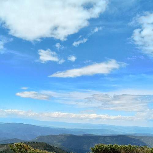 Photo #11330957