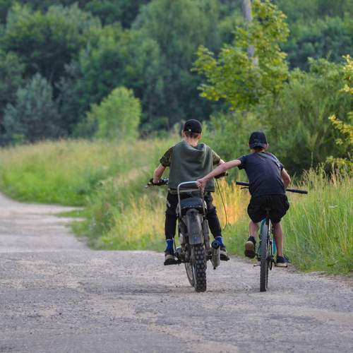 Photo #11331003