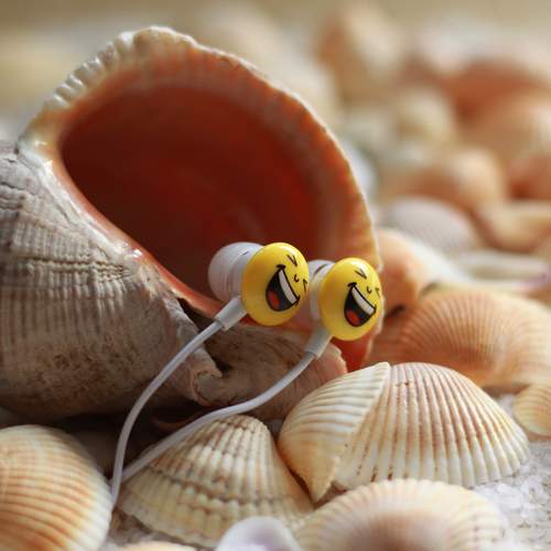 Photo #11331193