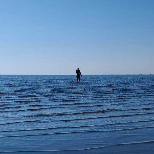 Photo #11331208
