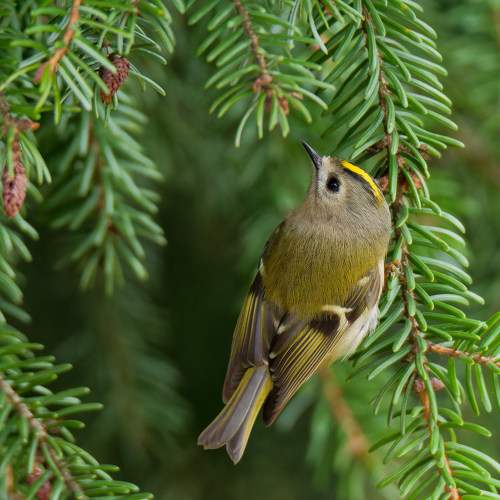 Photo #11331239